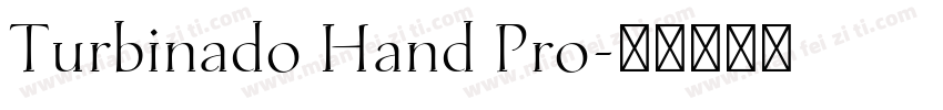 Turbinado Hand Pro字体转换